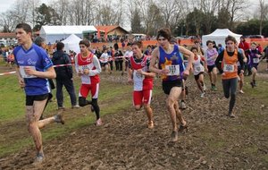 IMG_9378.jpg