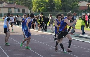 IMG_3868.jpg