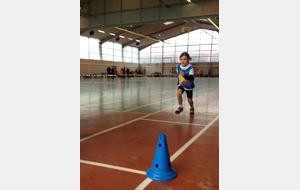528a1fabc3a88_sautL4.JPG
