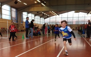 528a20089e559_50m2Copie1.JPG