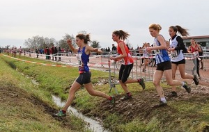 52ff1a4bdc487_IMG7134.jpg