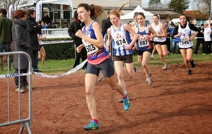 52ff1a8e3b334_IMG7033.jpg