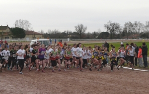 52ff215159334_a.jpg
