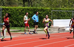 537100a36d310_IMG3784Copier.JPG