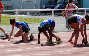 53955480750cb_P1120214.JPG