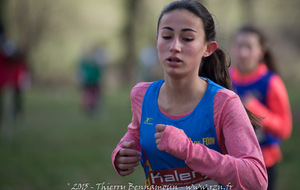 54b404724ee7f_DSC6930.jpg