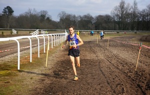 5506a27ab6f6a_crossMontdeMarsan8022015424.JPG