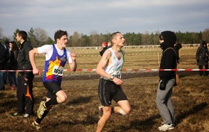 5506a28df001f_crossMontdeMarsan8022015439.JPG