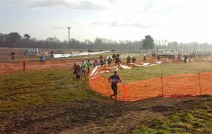 56ed0f113341e_127910485988449669326041899933729658891891n.jpg