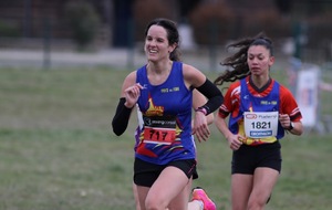 588e06a0e46fb_IMG2033.JPG