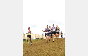 6242c150e52fe_chpcross4.jpg