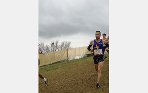6242c1518754c_chpcross3.jpg