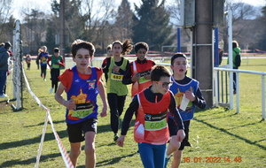 1/4 de Finales de Cross  Régionnal